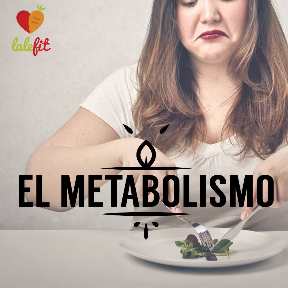 El metabolismo